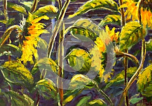 Slnečnica akryl olej maľovanie pôvodnej ručne maľované umenie z slnečnica kvety krásny zlato slnečnica v slnko kvety na plátno 