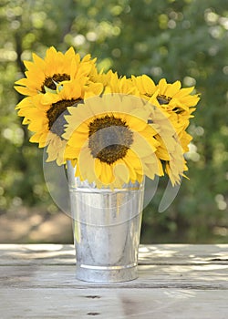 Sunflowers in Aluminum Vase