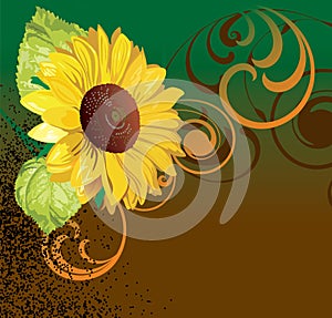 Sunflowers background