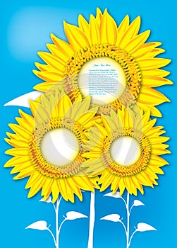 Sunflowers on blue background