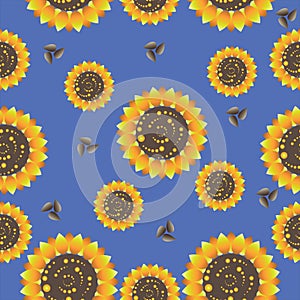 Sunflowers on a blue background. Seamless pattern.