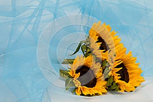 Sunflowers in a blue tinsel veil