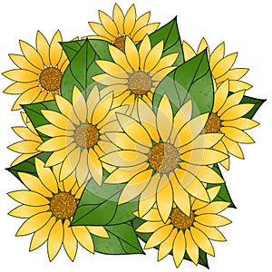 Sunflowers bouquet on white background