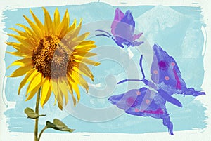 Sunflowers and butterfly watercolors