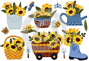 Sunflowers collection and of wildflowers. Bouquet bright yellow sunflowers in bucket, watering can, boots and garden