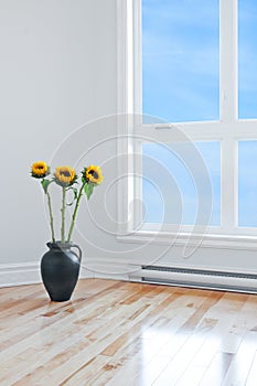 Sunflowers in empty room with big window