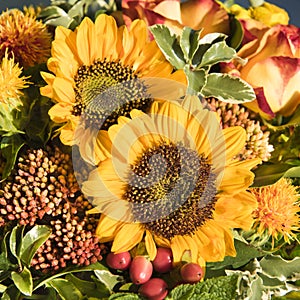 Sunflowers and fall flowers. Yellow sunflowers, orange roses, rose hips and more flowers of autumn