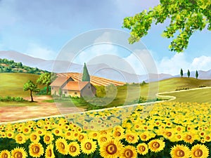 Sunflowers field img