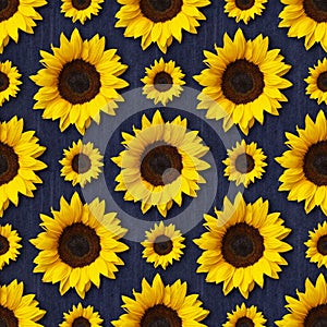 Sunflowers flowers and denim seamless pattern