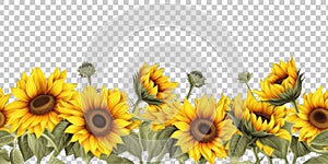 Sunflowers Footer Border Seamless Tile Isolated on Transparent Background - Generative AI