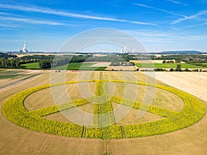 Sunflowers form a peace sign a field of sunflowers as a peace symbol