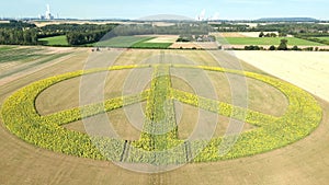 Sunflowers form a peace sign a field of sunflowers as a peace symbol