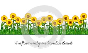 Sunflowers and Grass Decoration Element