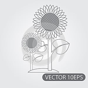 Sunflowers icon black and white outline drawing
