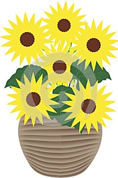 Sunflowers - illustration