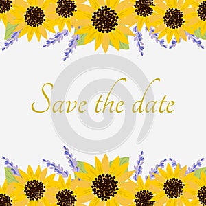 Sunflowers illustration for invitation card
