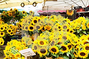 Sunflowers on a market stall