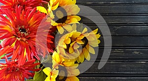 Sunflowers and mums with wooden background. Autumn decor.