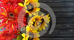 Sunflowers and mums with wooden background. Autumn decor. photo