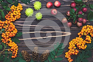 Sunflowers, rowan berries and small red apples on dark wooden rustic boards. Summer background, autumn harvest concept. Colorful