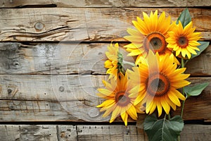 sunflowers on rustic wooden background many wooden slats