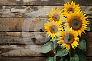 sunflowers on rustic wooden background many wooden slats