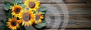 sunflowers on rustic wooden background many wooden slats