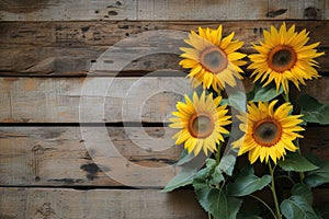 sunflowers on rustic wooden background many wooden slats