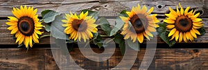 sunflowers on rustic wooden background many wooden slats