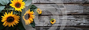 sunflowers on rustic wooden background many wooden slats