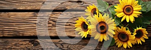 sunflowers on rustic wooden background many wooden slats