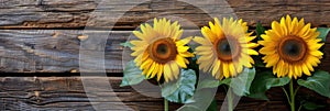 sunflowers on rustic wooden background many wooden slats