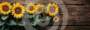 sunflowers on rustic wooden background many wooden slats