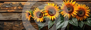 sunflowers on rustic wooden background many wooden slats