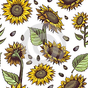 Sunflowers seamless pattern. Beautiful botanical design, floral cute fabric print repeating sunflower artistic decor