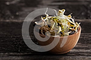 Sunflowers Sprouts in a Wooden bowl