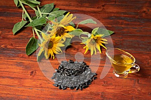 Sunflowers, sunflower oil in a glass gravy boat, handful of sunflower seeds.