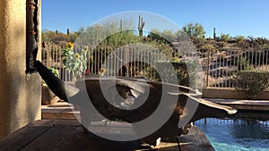 Sunflowers Swaying In the Wind At Desert Home in AZ