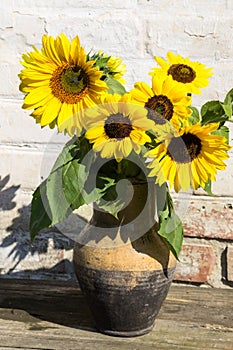 Sunflowers in vintage clay jug on wooden table