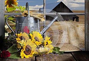 Sunflowers and Watering Can Barn View