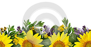 Sunflowers and wild flowers seamless border