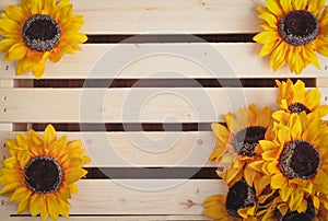 Sunflowers on wood slat background