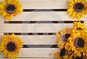 Sunflowers on wood slat background photo