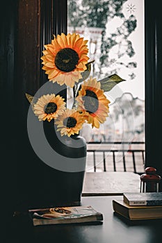 Sunflowers in Xinxitang Ancient Town Cafe, China