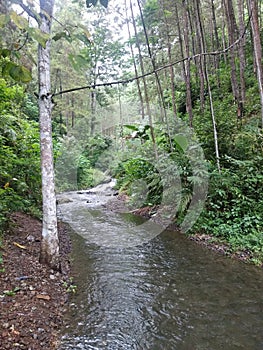 The River natural eksotis