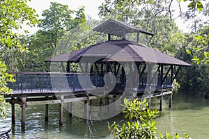 Sungei Buloh wetland reserve Singapore
