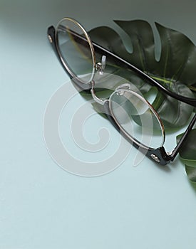 Sunglasess on background with monstera leaf.