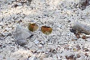 Sunglasses on the beach