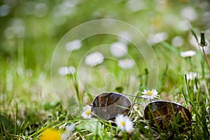 Sunglasses in grass