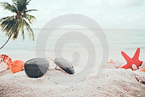 Sunglasses on sandy in seaside summer beach with starfish, shells, coral on sandbar and blur sea background.